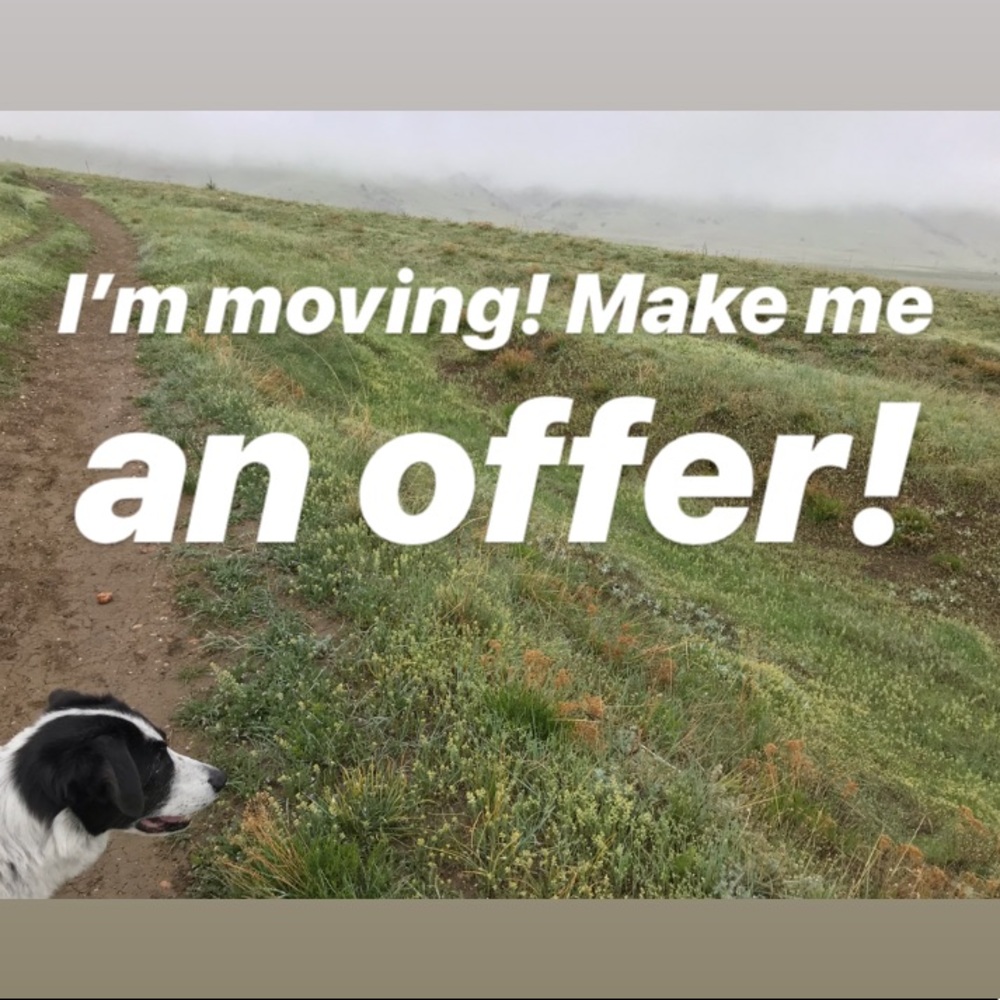 MOVE OUT SALE! 🌱🌻